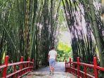 wisata-hutan-bambu-di-the-hill-hotel-resort-1.jpg