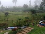 wisata-kebun-teh-pagilaran_20180819_175440.jpg