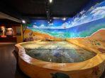 wisata-kolam-sentuh-di-aquarium-indonesia-pangandaran.jpg