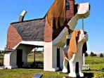 wisata-unik-di-dunia-dog-park1.jpg