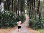 wisatawan-berpose-dengan-latar-hutan-pinus-kalilo.jpg