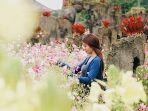 wisatawan-bunga-di-the-blooms-garden.jpg