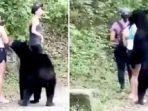 wisatawan-dan-beruang-hitam.jpg