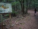 wisatawan-yang-menjelajah-hutan-aokigahara.jpg