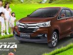 xenia_20161130_144838.jpg