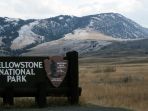 yellowstone_20170715_143258.jpg