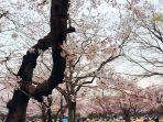 yoyogi-park.jpg