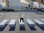 zebra-cross_20171029_190047.jpg