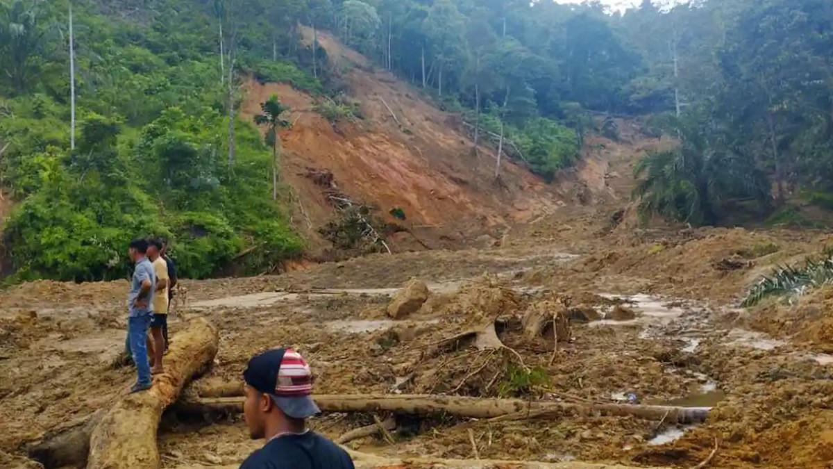BANJIR SUMATERA - BNPB bersama Bupati Aceh Timur mendata korban terdampak sekaligus menyalurkan bantuan awal di Kecamatan Peunaron dan Serbajadi, Aceh Timur, Selasa (2/12/2025).
