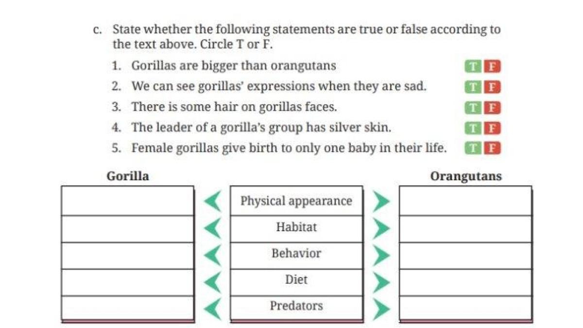 Berikut Gambar Pada Soal Bahasa Inggris Kelas 9 Halaman 56