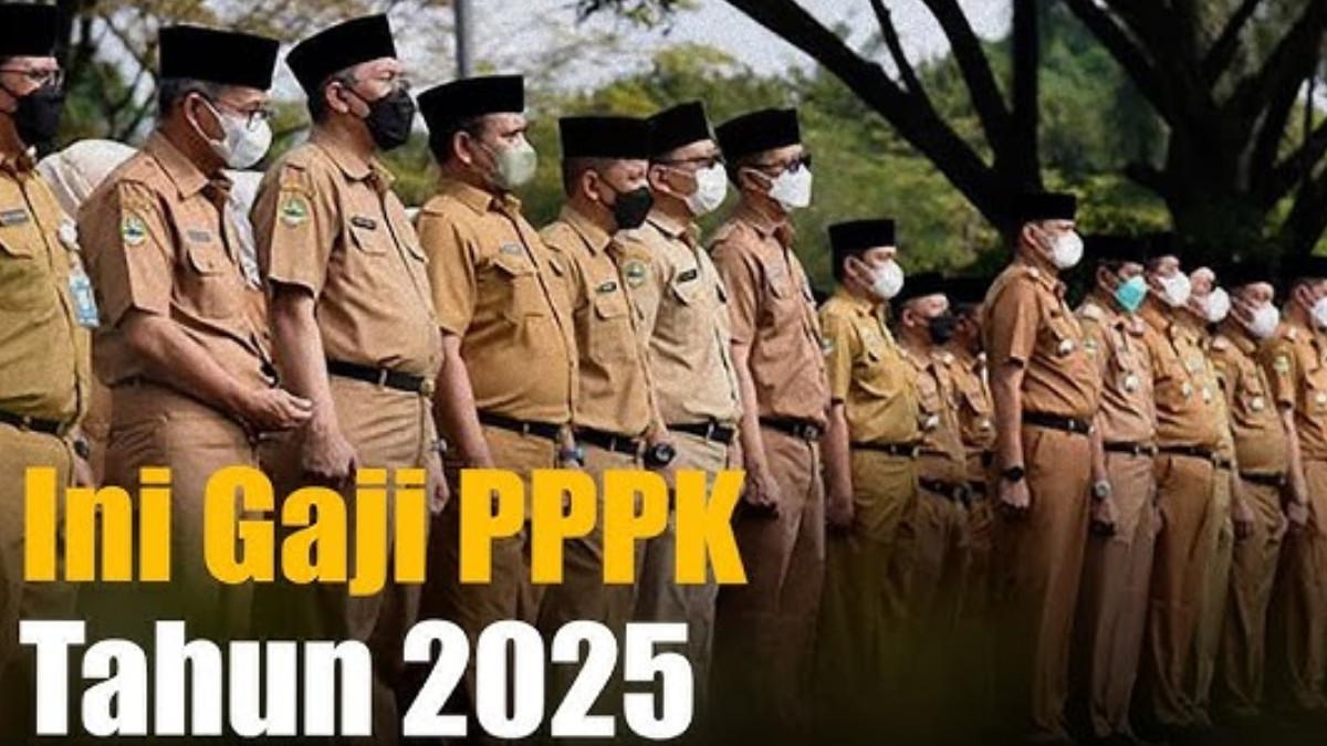 Tenang! Gaji PPPK Paruh Waktu Ditentukan Sesuai Upah Terakhir Sebagai Honorer, Pendidikan Pengaruh?