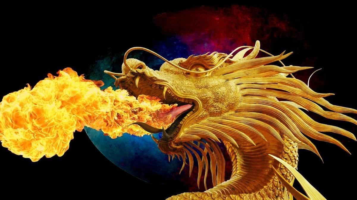 12 Ramalan Shio dan Angka Hoki Besok Jumat 24 Oktober 2025, Macan, Naga, Tikus Menikmati Kejayaan