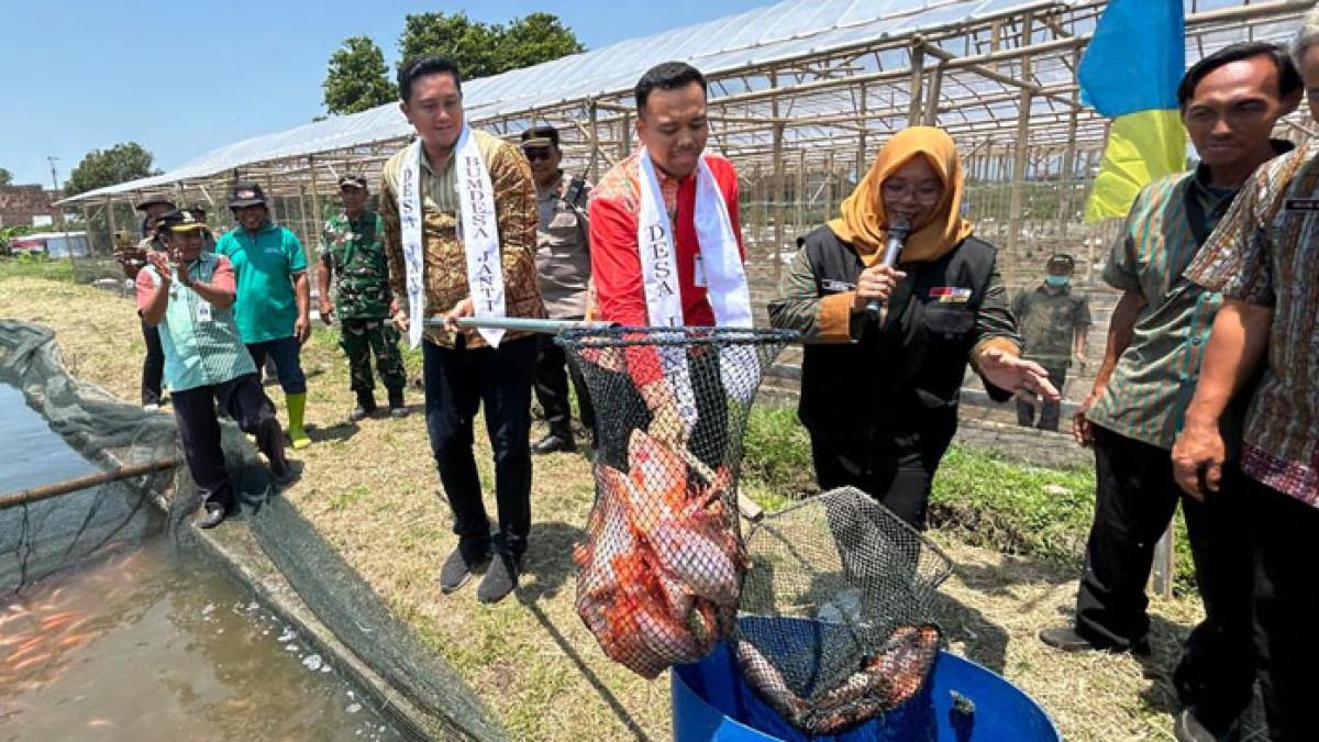 KETAHANAN PANGAN KLATEN - Bupati Klaten Hamenang Wajar Ismoyo bersama Wakil Bupati Benny Indra Ardhianto kunjungi Kawasan Wisata dan Edukasi Ketahanan Pangan yang dikelola Badan Usaha Milik Desa (BUMDesa) Jaya Janti di Desa Janti, Kecamatan Polanharjo, Kamis (9/10/2025).