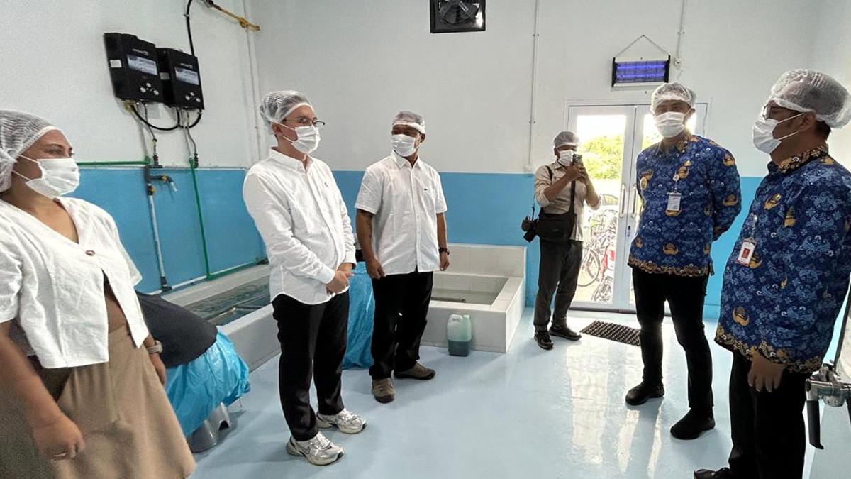 SPPG DI KLATEN - Bupati Klaten meninjau langsung dapur produksi makanan di dapur SPPG Wiro Bayat dengan mengenakan masker dan penutup kepala demi menjaga higienitas ruangan, pada Senin (17/11/2025).