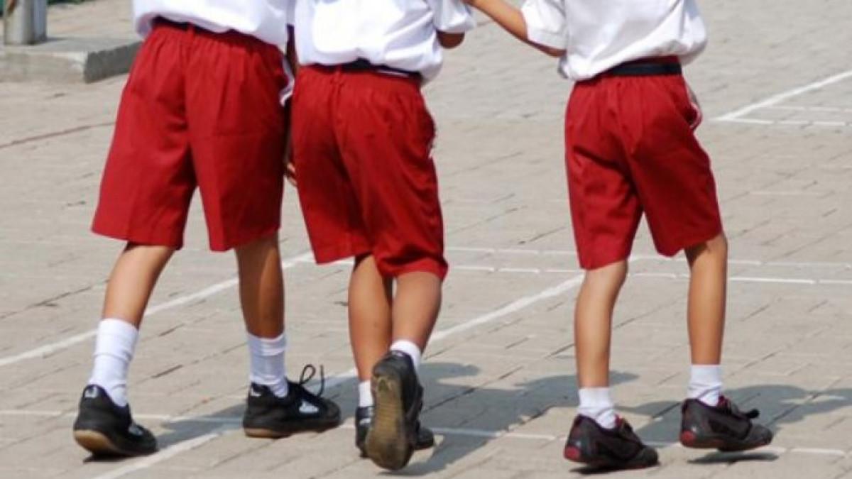 Hewan yang Memiliki Bunyi Mooo Mooo Adalah, Jawaban 25 Soal PTS Bahasa Indonesia Kelas 1 Semester 1