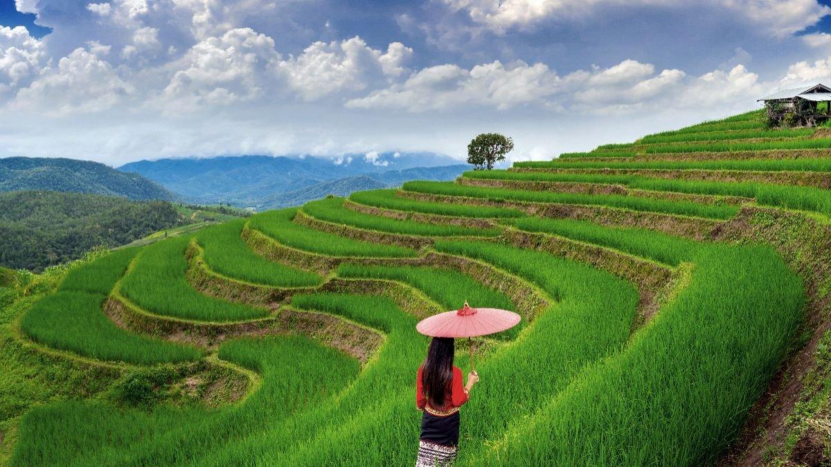 Berikut ini 5 kabupaten paling maju di Sulsel, nomor 2 direbut Enrekang yang melebihi Sidrap dan kabupaten penghasil beras terbesar di Sulawesi Selatan.