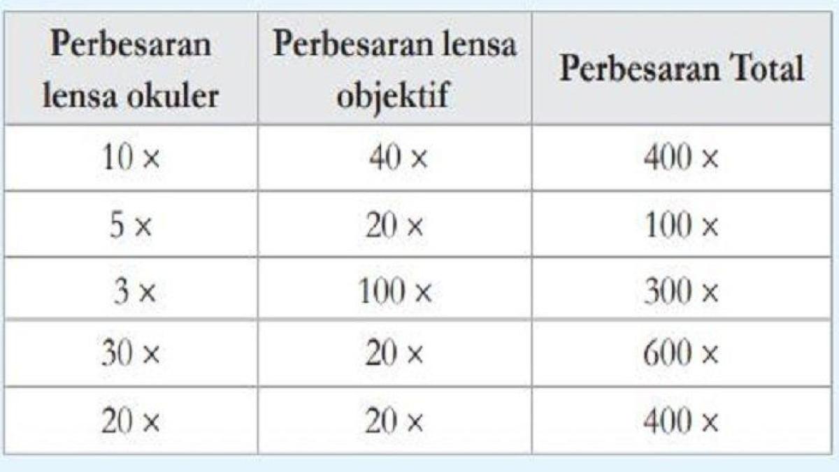 Jawaban soal nomor 3 IPA kelas 8.