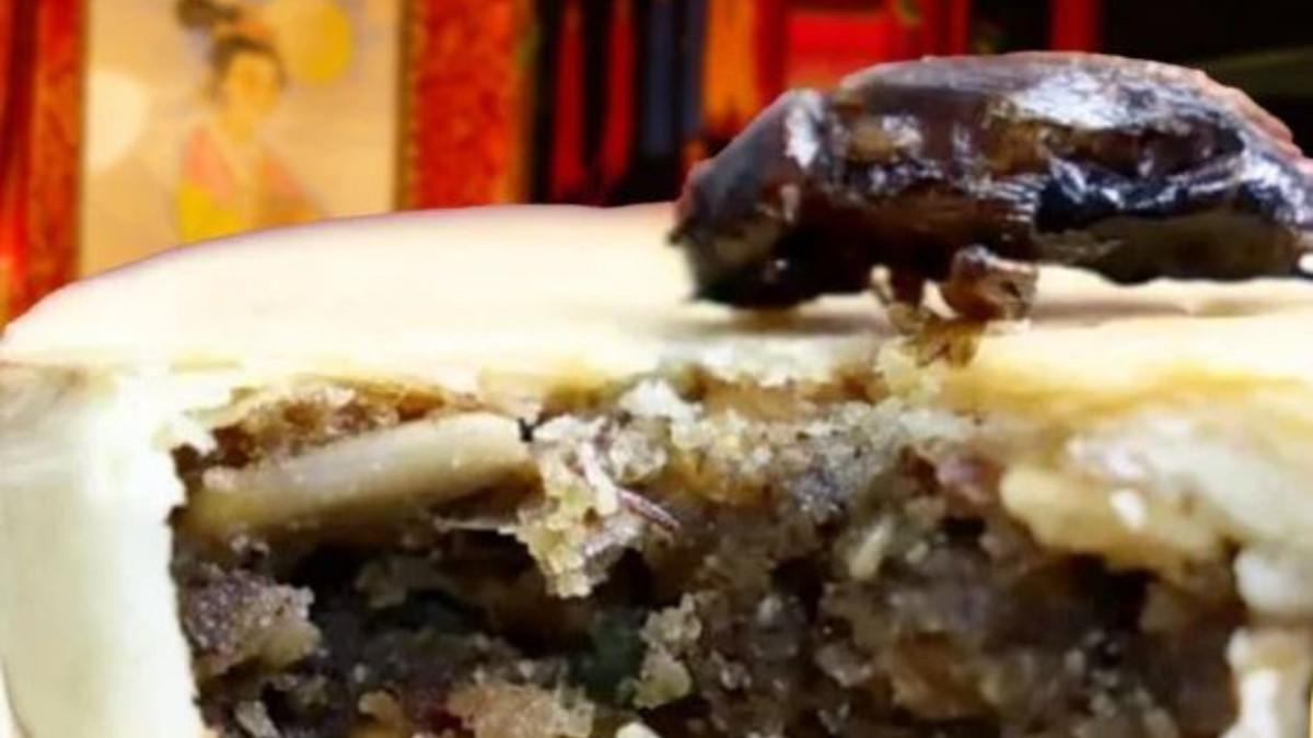 KUE BULAN ISI JANGKRIK - Kue bulan isi jangkrik viral dan diburu di Tiongkok, produsen klaim rasanya beda dari yang biasanya bahkan lebih bergizi, tapi jangan dibayangkan.