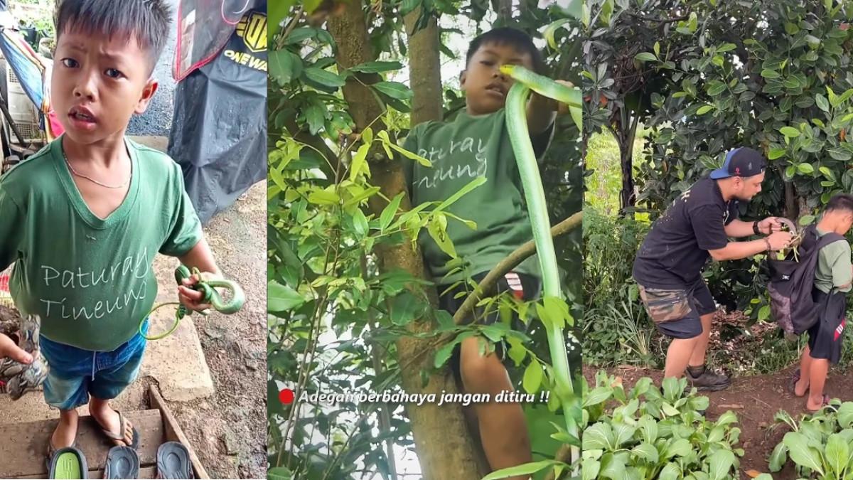 DIKA BOCAH ULAR - Kolase potret Dika bocah penangkap ular dari Bandung