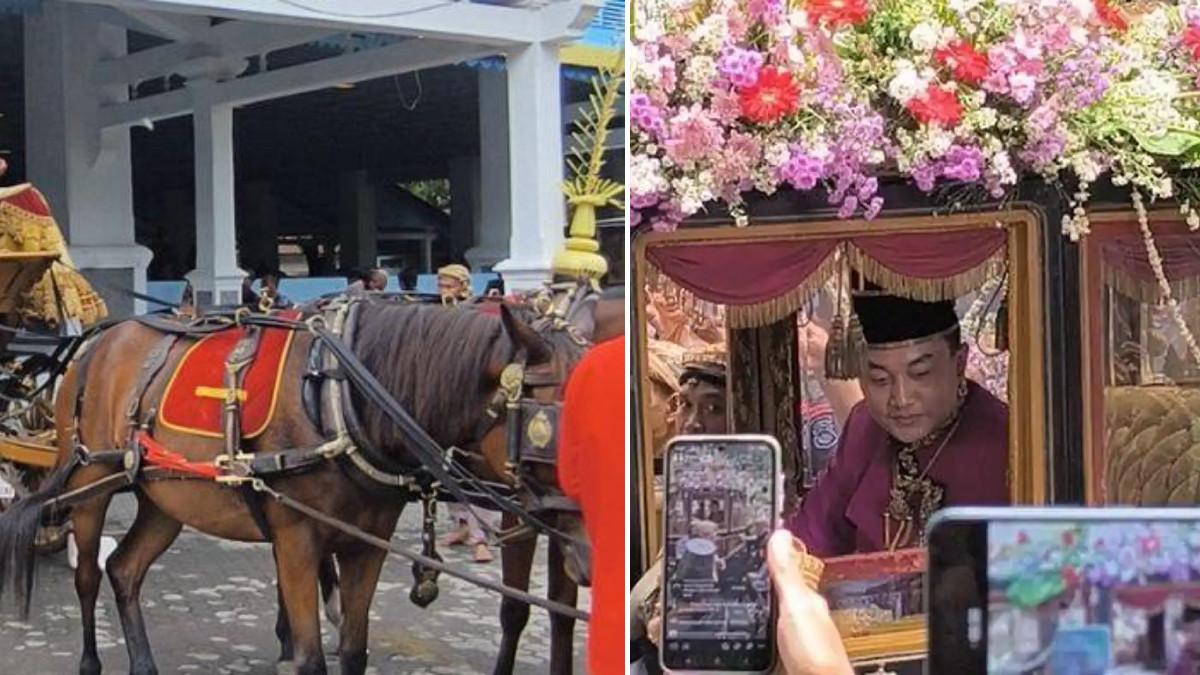 DRAMA KERATON SOLO - Kuda-kuda kereta kencana dalam kirab Jumenengan Pakubuwono XIV pada Sabtu, 15 November 2025 ternyata disewa sekitar Rp 2,5 juta.