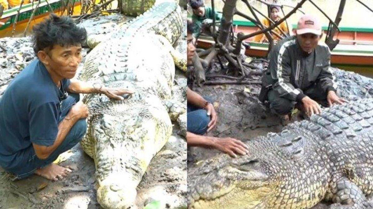 Persahabatan Pak Ambo dengan Buaya Riska, Dulu Dibuntuti, Terancam Berpisah: Tolong Jangan Ditangkap