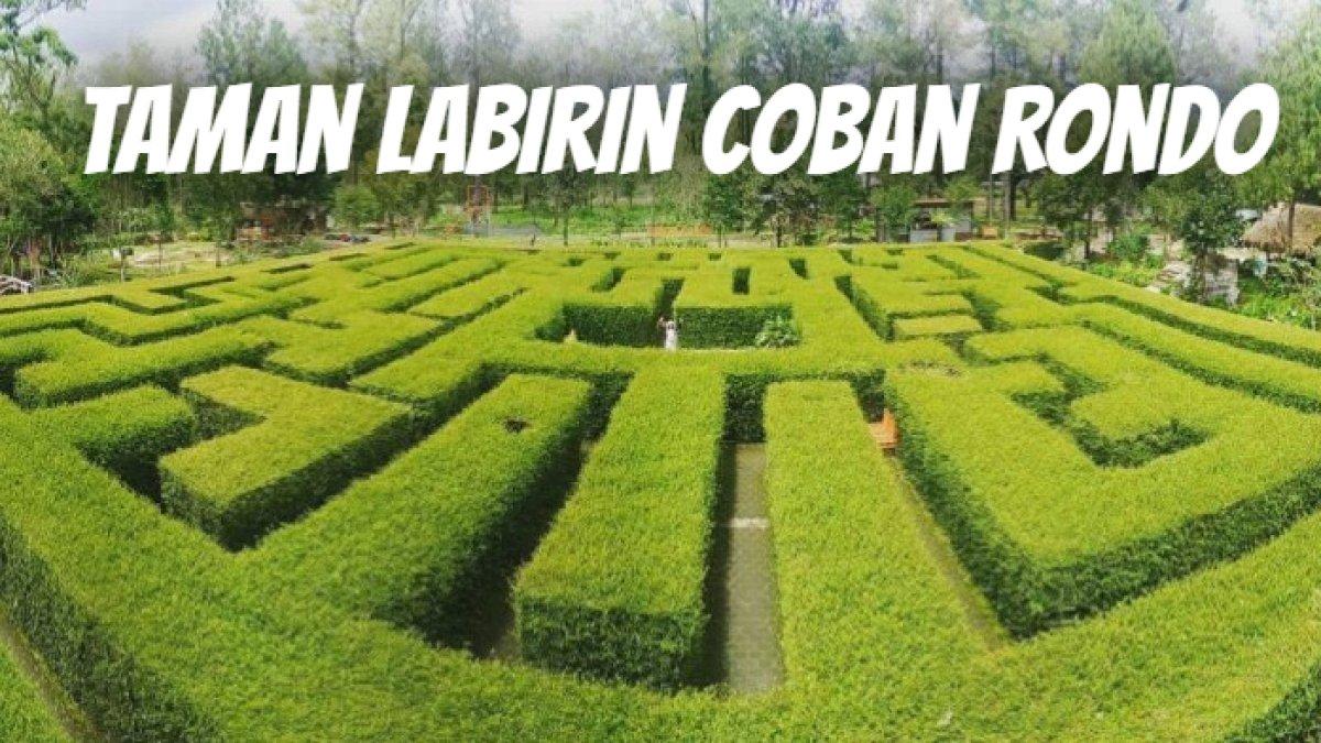 Cuma 12 Km dari Kota Malang, Ada Taman Labirin Viral Cocok Dikunjungi ...