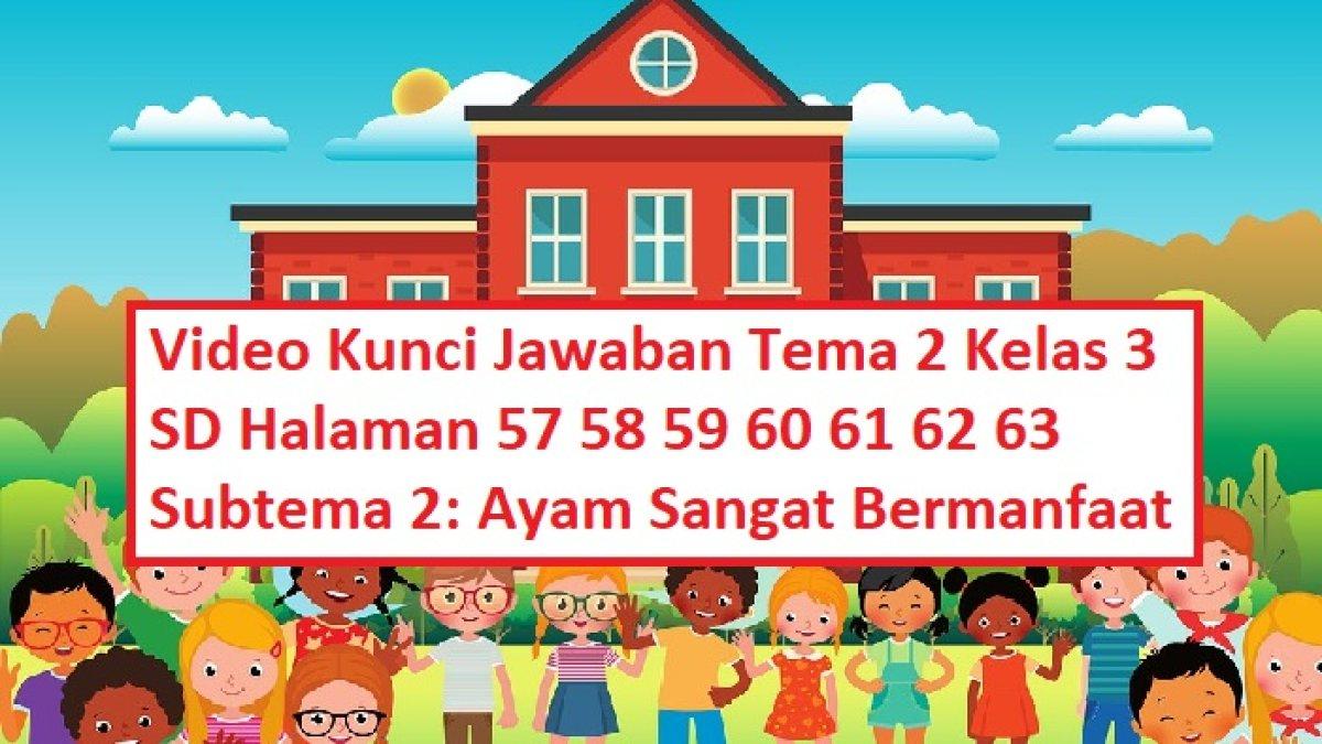 Video Kunci Jawaban Tema 2 Kelas 3 SD Halaman 57 58 59 60 61 62 63 Subtema 2: Ayam Sangat Bermanfaat