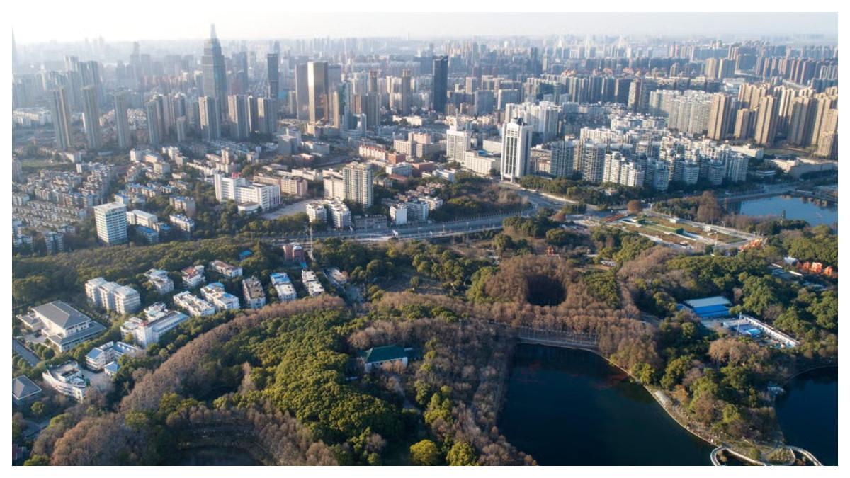 Wuhan adalah kota metropolitan modern dengan tingkat partisipasi angkatan kerja perempuan yang relatif tinggi dibandingkan dengan rata-rata global.