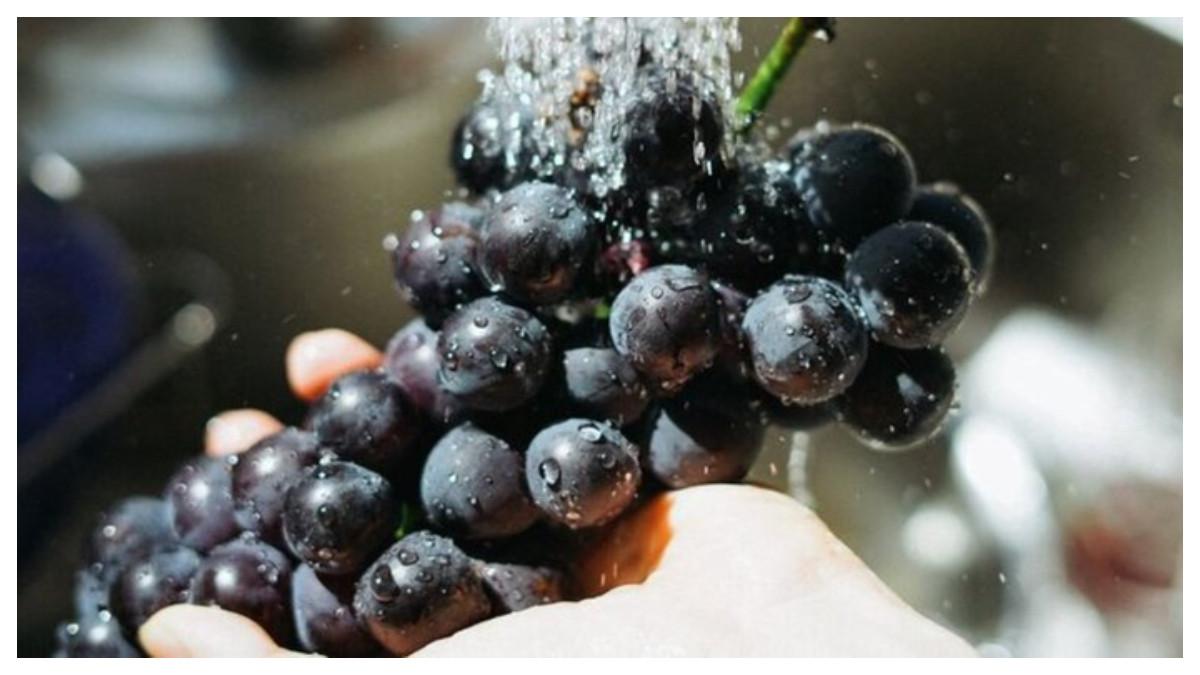 cara mencuci buah anggur supaya pestisidanya hilang