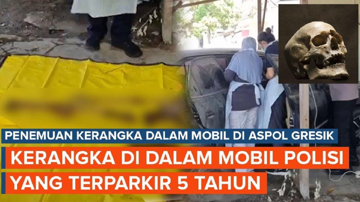 Kondisi Rambut & Kerangka Manusia Ditemukan di Aspol Ujungpangkah Gresik, Gigi Tongos, Ada Kelainan
