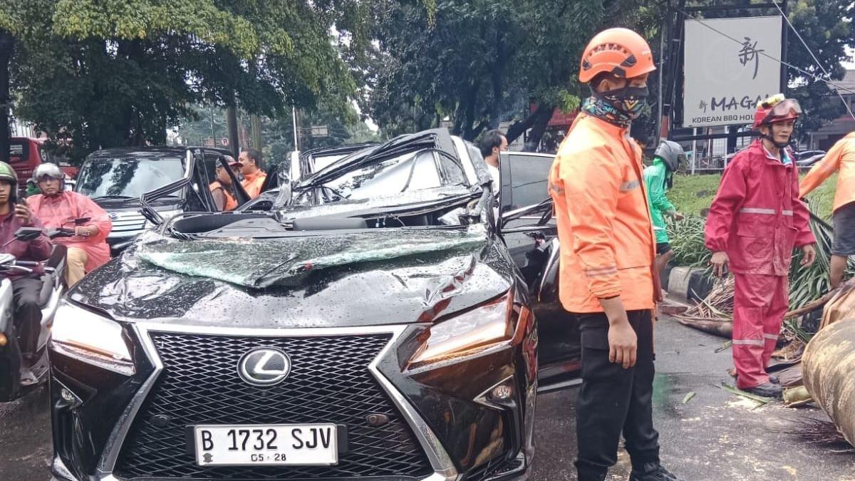 Mantan Direktur Danareksa (Persero), Harry Danardojo merupakan pengemudi mobil Lexus meninggal tertimpa pohon tumbang di Pondok Pinang.
Proses evakuasi mobil Lexus yang ringsek akibat tertimpa pohon di kawasan Pondok Indah, Minggu (26/10/2025)