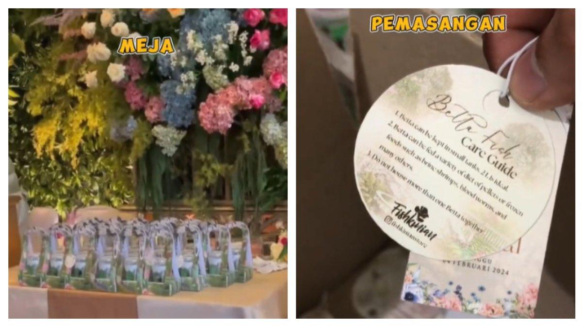 Anti-Mainstream! Viral Souvenir Pernikahan dari Ikan Cupang di Tangerang Selatan, Anak-anak Girang!