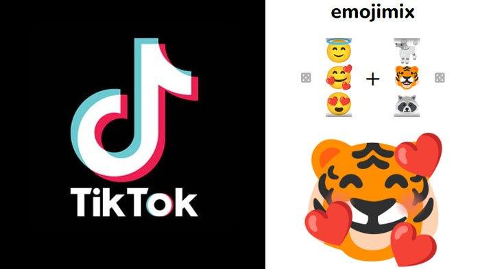 Viral di Aplikasi TikTok, Ini Cara Gampang Buat Emoji Mix di Tikolu.net, Dua Emoji Jadi Satu