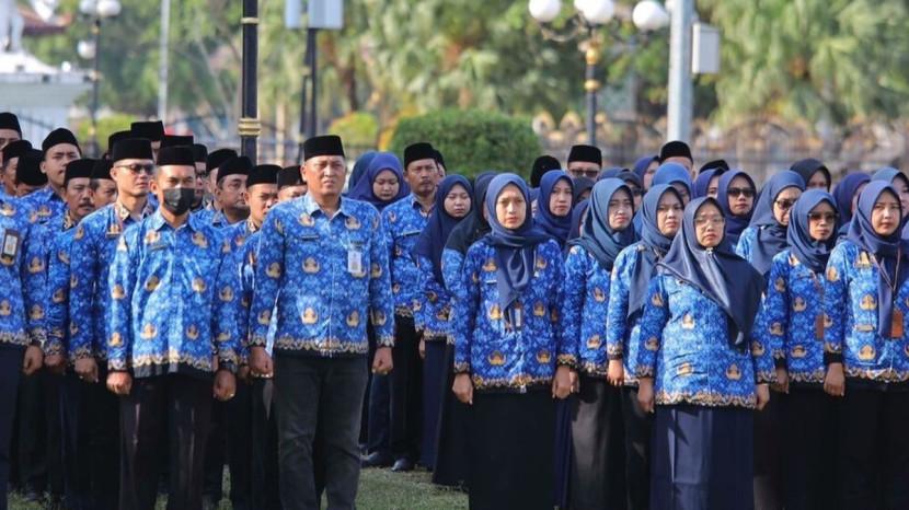 Tribun