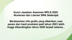 ASESMEN-MPLS-SMA-Kunci-jawaban-Asesmen-MPLS-2025-Numerasi-SMA-selengkapnya.jpg