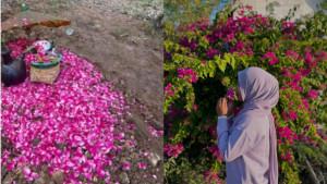 Arti-Wibowati-sempat-mengunggah-foto-makam.jpg