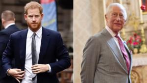 HARRY-DAN-CHARLES-Pangeran-Harry-dan-Raja-Charles.jpg