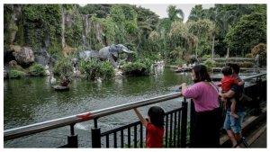 Taman-margasatwa-ragunan.jpg