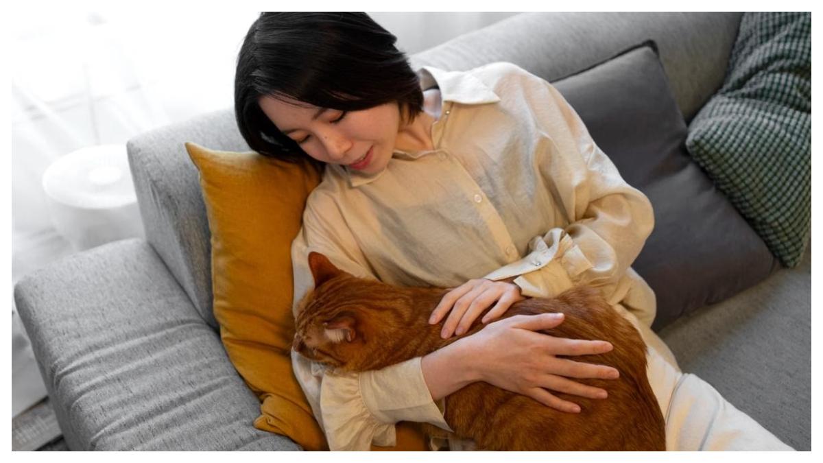 Ilustrasi-seorang-wanita-menggendong-kucing.jpg