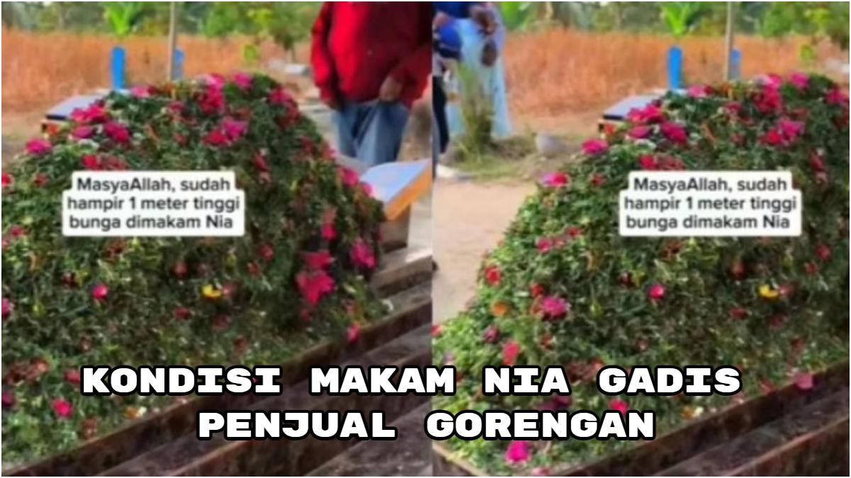 Kondisi-terkini-makam-Nia-gadis-penjual-gorengan-yang-di-bunuh-dan-diperkosa.jpg