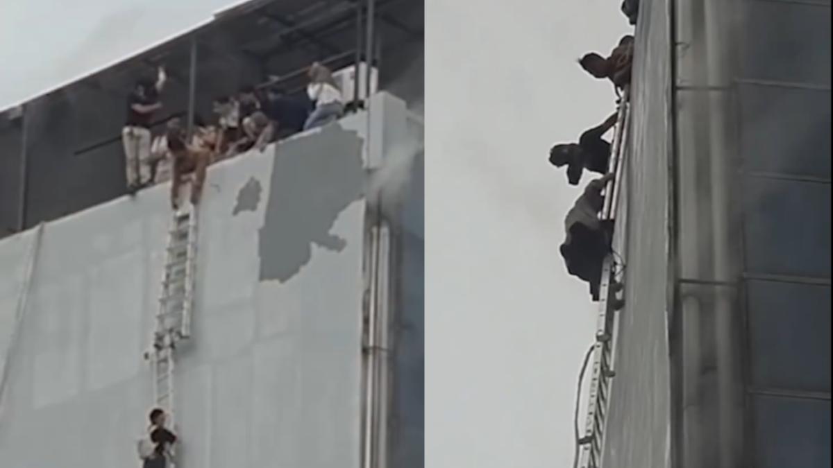 Polisi Luruskan Isu Liar Soal Terra Drone: Tak Ada Kaitan dengan Penghilangan Data Pemetaan Hutan