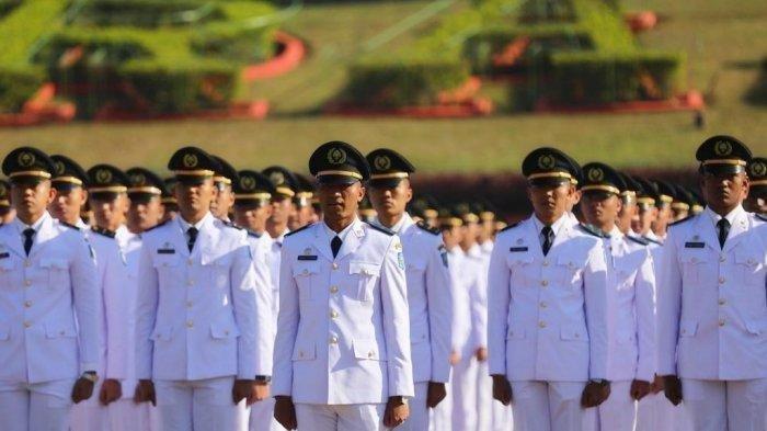 8 Sekolah Kedinasan 2025 dengan Kuliah Gratis, Lulusannya Peluang Tinggi Jadi PNS