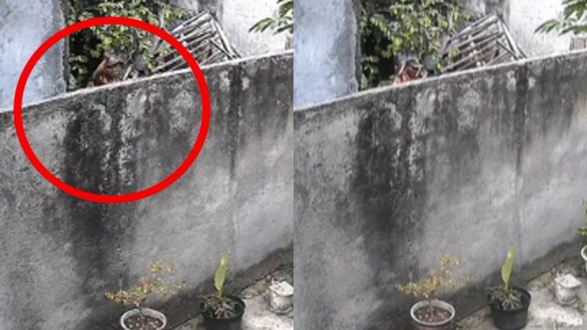 Viral-video-aksi-pria-lempar-batu-ke-rumah-tetangga.jpg