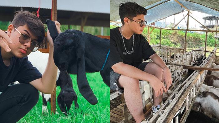 Juragan Kambing Ini Dulu Artis Cilik, Pernah Main Bareng Raffi Ahmad, Jargon 'Tolong Aim ya Allah'