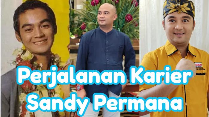 perjalanan-karier-Sandy-Permana.jpg