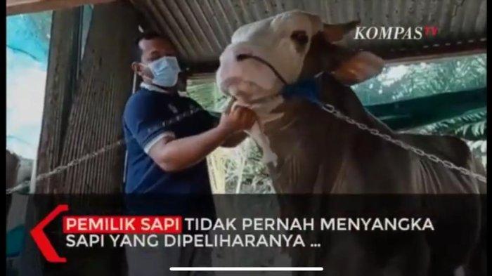 presiden-jokowi-membeli-sapi-kurban-milik-salah-seorang-warga-konawe-dalam-rangka-idul-adha-1443-h.jpg