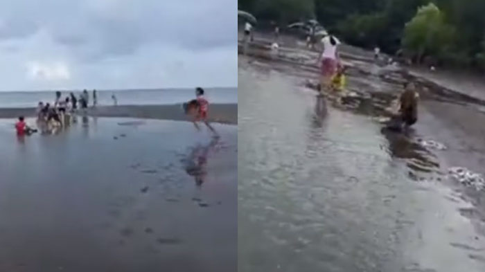 FENOMENA Ribuan Ikan Terdampar di Pantai Lilang Minut Jelang Lebaran, 5 Tahun Lalu Pernah Terjadi