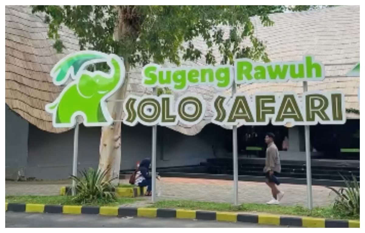 solo-safari-feb.jpg