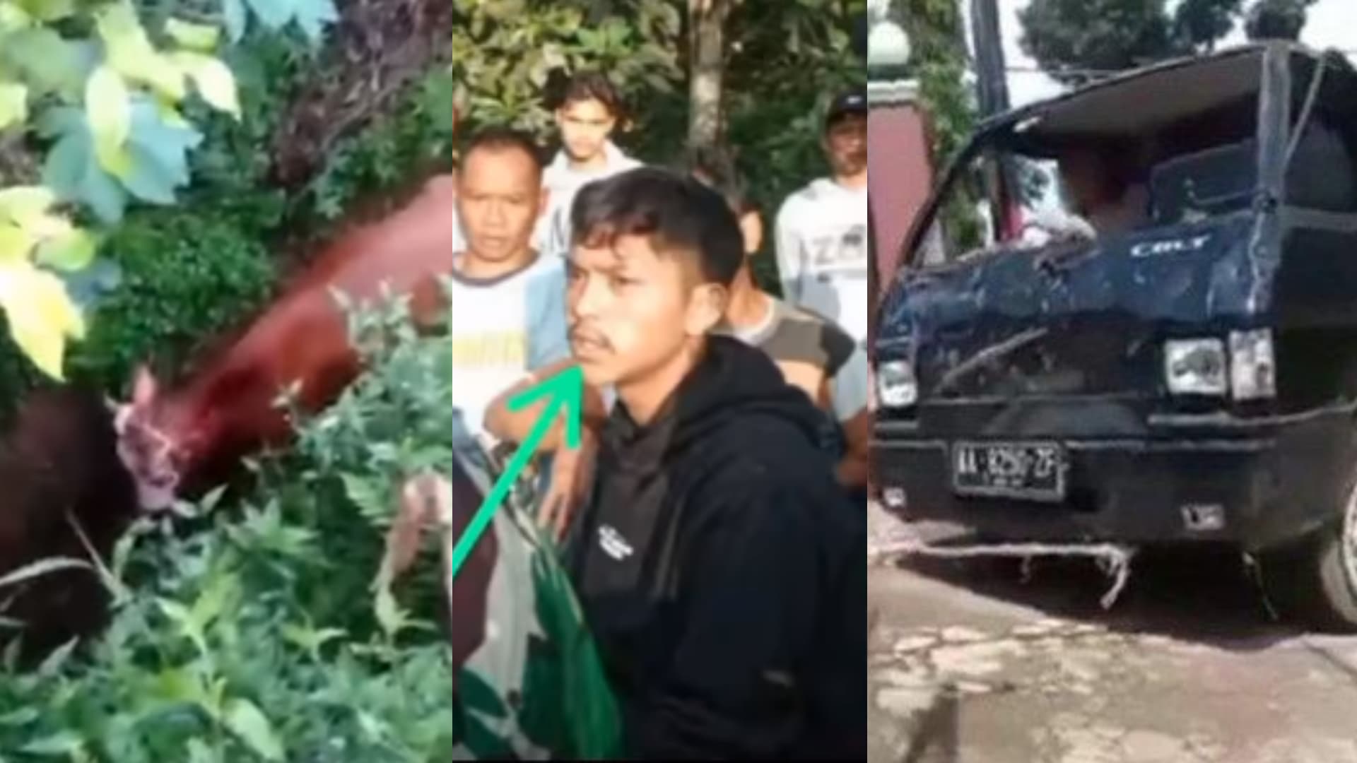 video-pemuda-maling-sapi-di-daerah-kendal-berhasil-ditangkap-warga-beredar-di-media-sosial.jpg