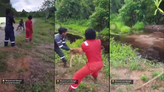 CUMA Gegara Nasi Dicuri, 3 Pria Lempar Anjing ke Buaya, Jadi Tersangka Tapi Tak Ditahan 'Yoo Sikat'